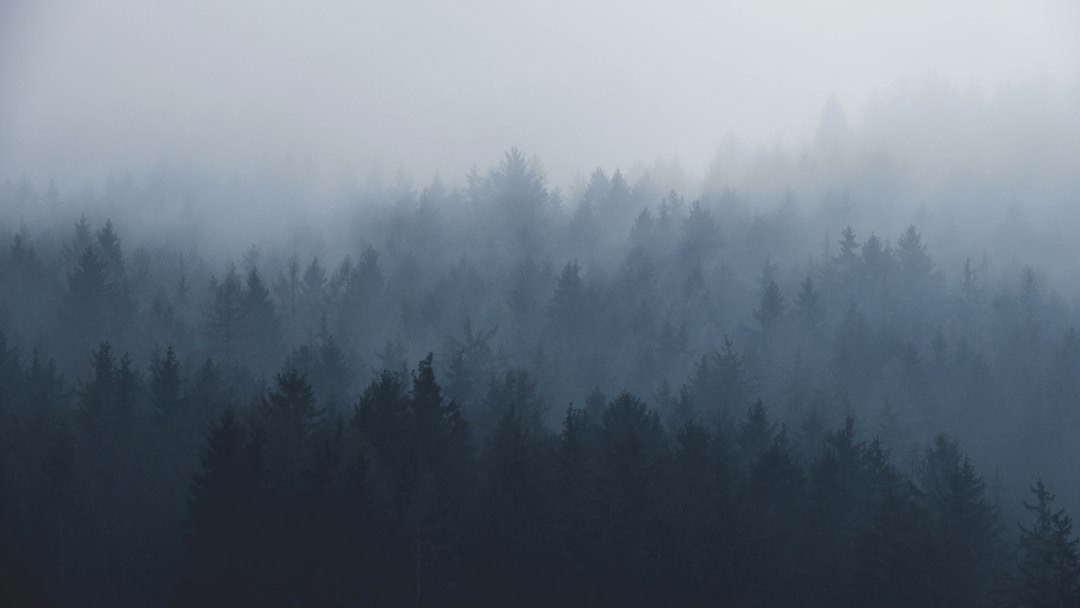 12 Paranormal Romance Books With Slow-Burn Recognition
