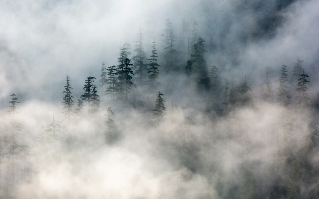 9 Paranormal Romance Books With Adult Heroines and Real External Stakes