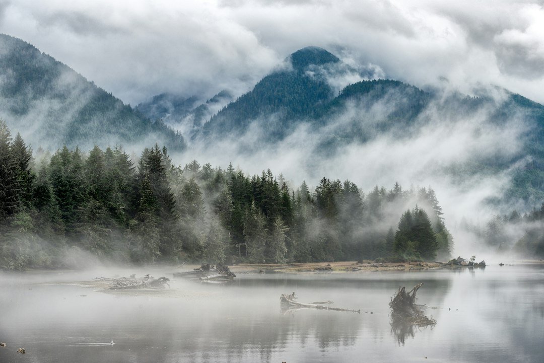 Remote forested island and lake for a young adult science fiction reading hub